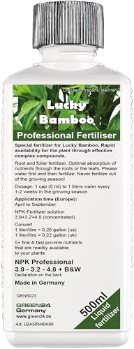 GREEN24 Bambou de la chance engrais Lucky Bamboo, engrais spécial HIGH-TECH NPK complet ligne professionnelle pour la fertilisation du bambou Dracaena sanderiana 500 ml.