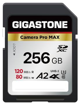 [Recuperación de Datos Gratuita de 5años] GIGASTONE Tarjeta SD 256GB, A2 4K Cámara Pro MAX, Compatible con Cámaras Canon, Nikon, Sony, Kodak, Panasonic, Video 4K UHD, con 1 Estuche Pequeño