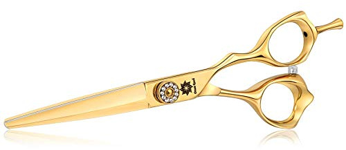 Dream Reach Haarschere Friseurschere Scharfe Haarschneideschere Japanischer Edelstahl 440C Handarbeit Premium Extra scharf Perfekter Haarschnitt für Damen und Herren Bestes Geschenk Gold