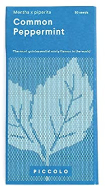 Piccolo Seeds Common Peppermint - Mentha X Piperita 50 Seeds