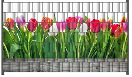 Wallario Zaun Sichtschutz Windschutz für EIN- und Doppelstabmattenzäune in der Größe Breite 2,50m x Höhe 1,40m, Motiv: Rote weiße und Pinke Tulpen im Frühling