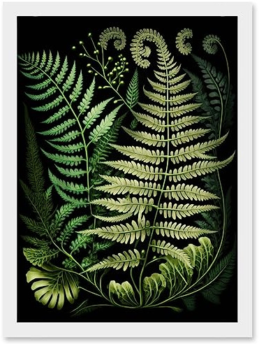 Artery8 Ernst Haeckel Style Fern Fronds Illustration Artwork Framed Wall Art Print A4