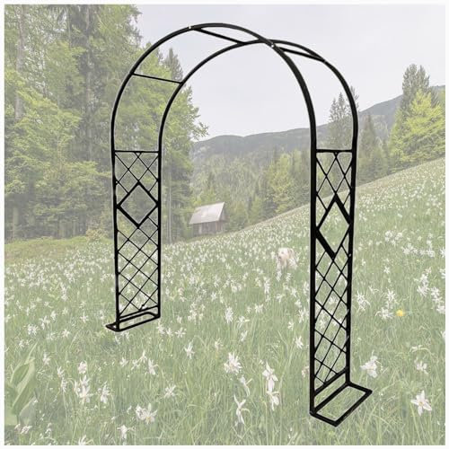 Genérico Arco de jardín de Metal Resistente para Plantas trepadoras, pérgola Resistente con Forma de rosal, Ideal para Bodas, Aniversarios y Despedidas de Soltera. Enrejado Negro Grande (300 x 270 cm