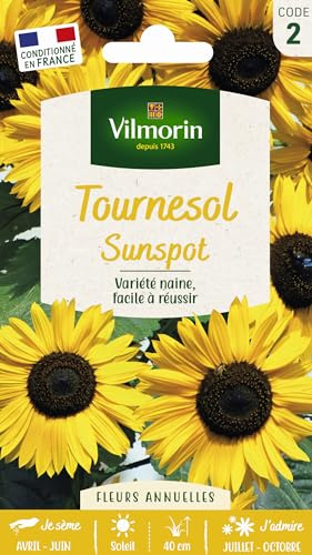 Vilmorin Tournesol Nain Sunspot Fleur | 30cm diamètre, 40cm hauteur, fleurs annuelles, semis avril à juin, floraison juillet à ocotbre, exposition plein soleil