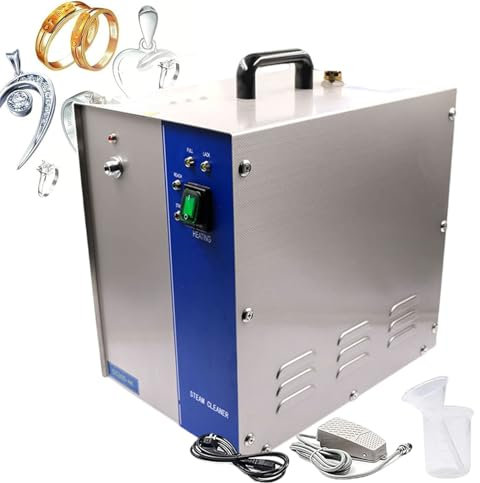 forplubossmmp Limpiador A Vapor Profesional para Joyas, para Limpiar Joyas De Plata Y Oro, con Volumen De 2/4L, De Acero Inoxidable, con Indicador E Interruptor De Calentamiento, 1300 W/2200 W,4L