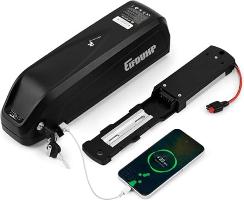Batteria per Bicicletta Elettrica, Batteria Ebike 36V 20Ah per 750W-50W Motore Bici, con Base 5-Pin, Caricabatterie e Blocco Sicurezza