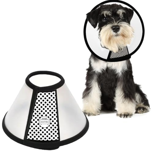 AFCJLTO Pet Cone Recovery, Halskrause Katze, Leichter Kunststoff Elisabethanischer Kragen,Geeignet für Katzen mit einem Gewicht von 5 bis 7 kg oder kleine Hunde (Halsumfang 27-31cm，XL)