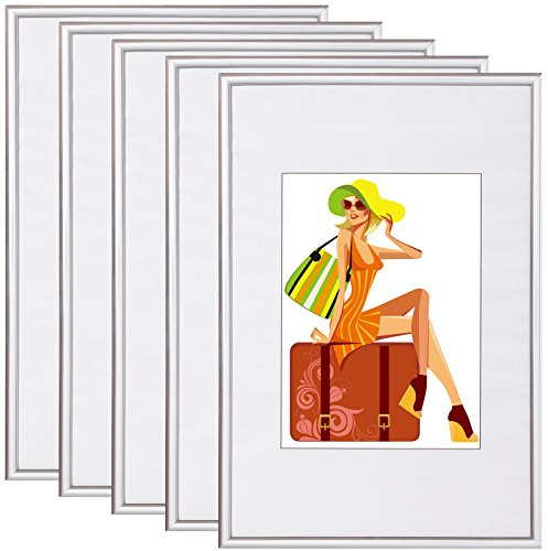 WOLTU Bilderrahmen 20x30 cm, 5er Set, Silber Collage Wanddeko, Fotorahmen mit Passepartout, mehrere bilder, Posterrahmen zum vertikalen oder horizontalen Aufhängen/Aufstellen | Silber, Posterrahmen New Lifestyle für Poster, Fotos, bruchsichere PS-Platte, aufhängbar u. aufstellbar, Collage-Wanddeko