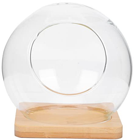 Abaodam Landschaftsvase Aus Glas Transparent Für Sukkulenten-Topf Flasche Zum Landschaftshandwerk Mit Kissen Leicht Und Umweltfreundlich