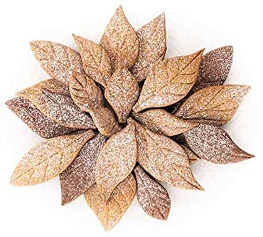 Silikomart | Voilà Cookie, Dimensions 240 x 150 mm h 20 mm | Moule à Biscuits Leaves en Forme de Feuilles