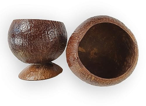 Kinaree Cuenco decorativo de coco XL, cuenco para plantas o cuenco de muesli hecho de cáscara de coco natural, cuenco de aperitivos con estilo tropical