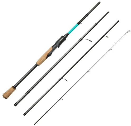 Fishing-King Tackle Spinnrute Zander/Hecht | 4-teilig mit 2,55 m und 20-80 g Wurfgewicht | Angelrute zum Raubfischangeln