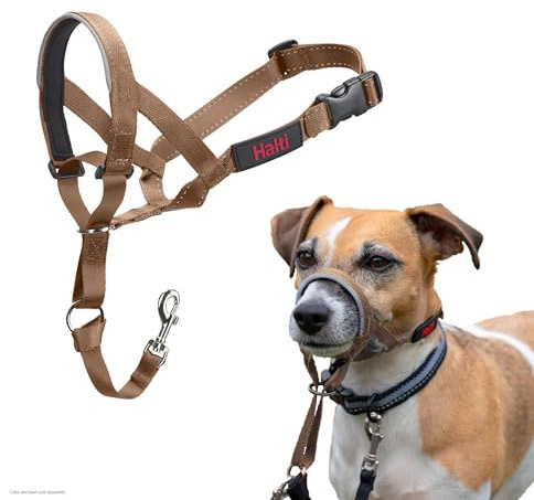 HALTI Headcollar - För att hindra din hund från att dra i kopplet. Justerbar, reflekterande och lätt, med vadderat näsband. Anti-draghalsband för hundträning för små hundar (Storlek 1, Ökensand)