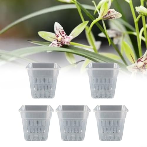 HpLive 5 vasi per orchidee trasparenti, traspiranti quadrati per orchidee con fori, adatti per l'osservazione della crescita delle radici delle piante per balcone (15 cm con vassoio)