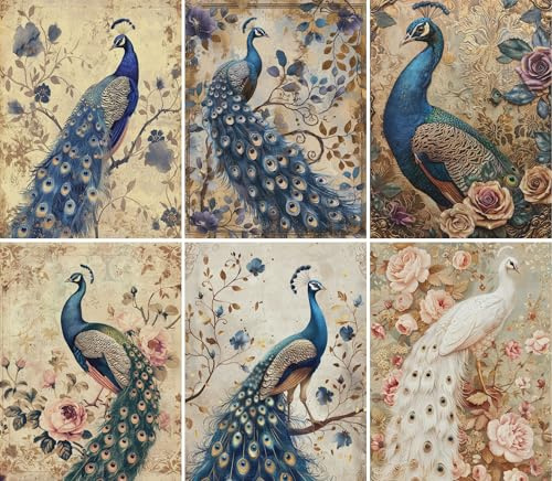 Reispapier im Vintage-Pfauen-Design, 20 x 26,6 cm (6 Stück) – 6 Designs für Scrapbooking, Karten, Basteln, Decoupage CRAFT KREATIVELY