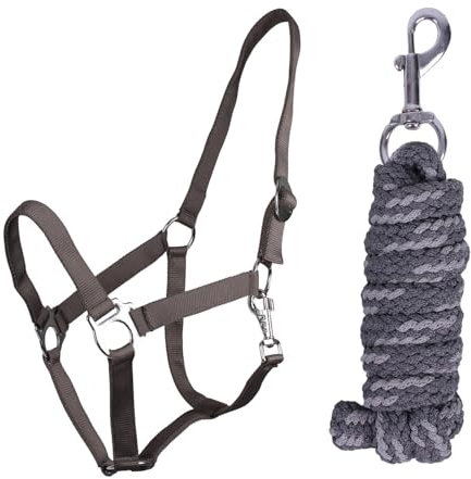 ARBO-INOX Halfter-Set Beginner II Halfter + Führstrick mit Karabinerhaken verstellbar (Mini Shetty, Anthrazit)