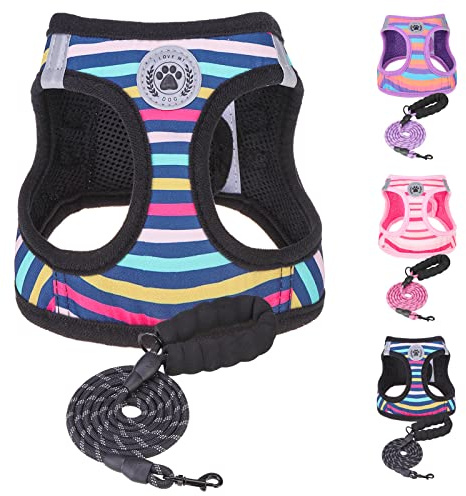 BEAUTYZOO Ensemble Harnais et Laisse pour Petits Chiens, Harnais Anti-Traction pour Chiots de Taille XS, S, Chiens et Chats, Maille Respirante, réglable, Respirant, Doux, Anti-Fuite, Rayures Bleu