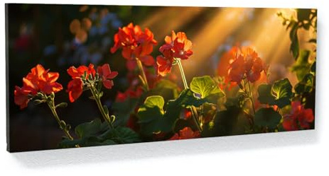Sense Canvas Lienzo decorativo con 16 sombras doradas de geranio, decoración del hogar, póster grande de 40 x 16 pulgadas