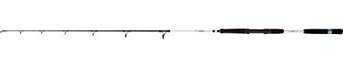 Zebco 1,70m Great White GWC Stand Up 300g, 12lbs