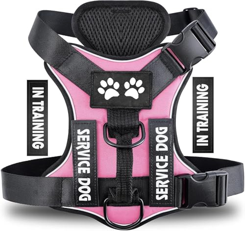 Arnés Personalizado para Perros, Reflectante Ajustable, Arnés Antitirones Suave Acolchado Cómodo Transpirable Arnés Chaleco para Perros Pequeños, Medianos y Grandes