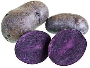 Graines de légumes de pomme de terre 100 pièces violettes