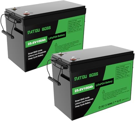 DATOUBOSS 2*Batería de Litio 100Ah 24V,24V 100Ah LiFePO4,LiFePO4 Grado A Células, 100A BMS 8000+Cycles Batería de Litio de Ciclo Profundo MAX 2560W Solar, RV, Off-Grid.