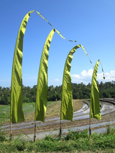 Bali-Fahne 3m Jadegrün – Original Umbul Umbul Gartenfahne & Balkondeko – Wetterfeste Windfahne für Terrasse & Feng Shui – Ohne Stange