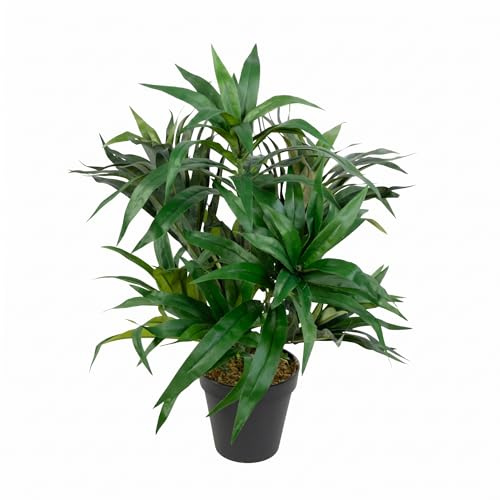 Dracena 42cm grün im Topf DA Drachenbaum Home Decoration Kunstpflanze | Wohnzimmer Büro Zimmer Deko Plants, künstliche Pflanzen wie echt, unechte Blumen Aesthetic Room Decor