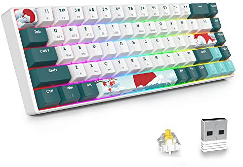 SOLIDEE tastiera meccanica RGB wireless 65%,tastiera Bluetooth 5.0/2.4Ghz/cablata a 3 modalità,68 tasti retroilluminazione RGB,mechanical keyboard hot swappable con Gateron Yellow Switchs(68 Forest)