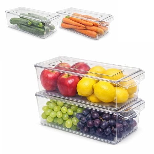 OCEANO Set 2 Contenitori per Frigorifero con Coperchio Organizer Frigo Impilabili Plastica Trasparente Vaschette Salvaspazio Alimenti Frutta Verdura Dispensa Bagno (30.0 X 15 X 10.0 Centimeters)