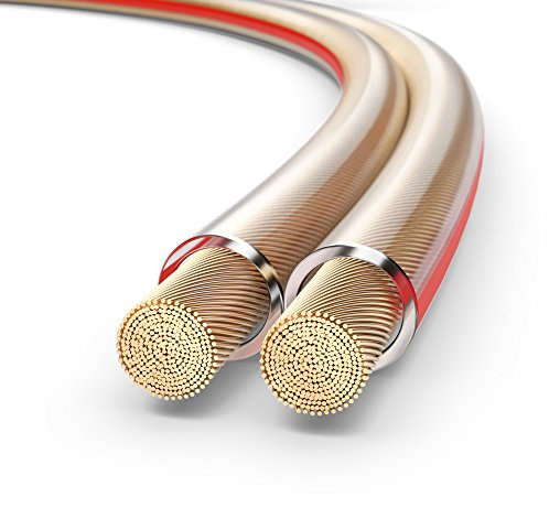 PureLink SP060-100 Câble d'enceinte 2x2,5mm² (99,9% OFC cuivre Massif 0,20 mm) Câble de Haut-Parleur HiFi, 100m, Transparent