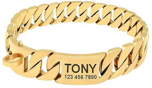 Benutzerdefinierte Hundekettenhalsband aus Titanstahl mit sicherer Schnalle - Personalisiertes kaufestes Metallhalsband für Hunde - Anpassbares Haustiergeschenk für Freunde