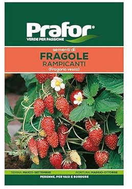 Hortus Semi prafor Fragole rampicanti BTS