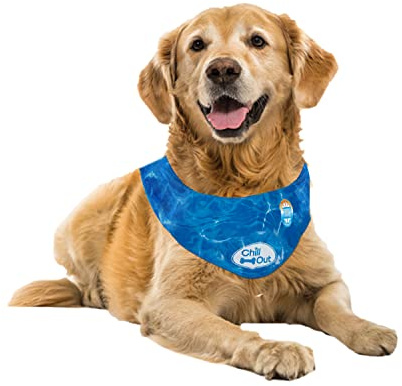 ALL FOR PAWS Hunde halstücher Kühlend，Kühlhalsband für Hunde, Atmungsaktiv Wärmeableitung Bandana Hund, hundehalsband schnelle Kühlung (XL) Neck Girth 53-62 cm
