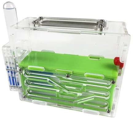 Ameisenfarm Formicarium Ameisenburg Aus Acryl, Große Kapazität, Ameisenwerkstatt, Ameisennest Für Haustiere, Ameisenfarm Ameisenfarm für Draußen(Grün)