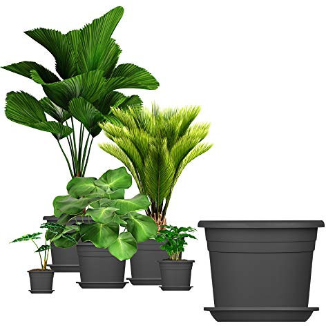 BigDean 5X Blumentopf Ø 25 cm Farbe Anthrazit & Untersetzer Kunststoff Pflanztopf Containertopf Übertopf Pflanzkübel rund 25 x 18 cm Blumentöpfe