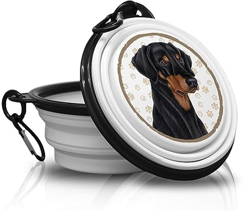 Dobermann - Gamelle Pliable Portable avec Mousqueton pour Les déplacements Gamelle pour Animaux domestiques Pratique et Unique.