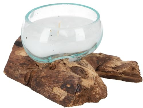GURU SHOP Wurzelholzvase mit Kerze, Teelichtglas aus Mundgeblasenem Glas - Flach, 9x13x11 cm