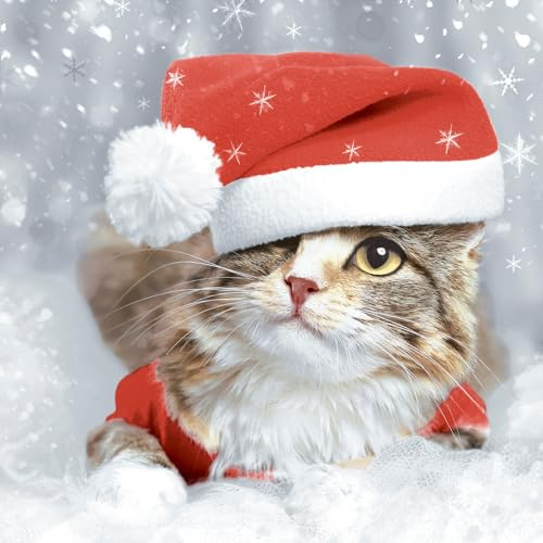 20 Servietten Weihnachten Katze unter Weihnachtsmütze als Tischdeko. Papierservietten mit Motiv. Auch für Decoupage und Serviettentechnik 33x33cm