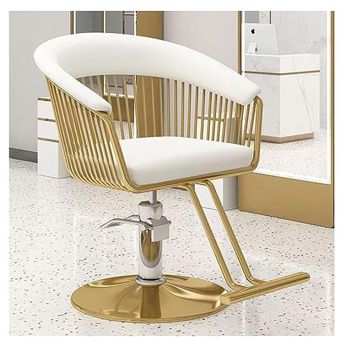 Friseurstuhl für Zuhause und professionellen Friseursalon - Friseurstuhl mit Dreh- und Hydraulikpumpe, verstellbarer Schönheitsstuhl