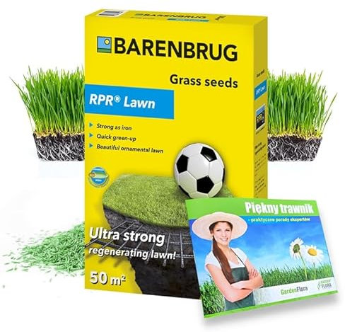 Erba sportiva Barenbrug Semi di erba sportiva 1 kg per campo da gioco
