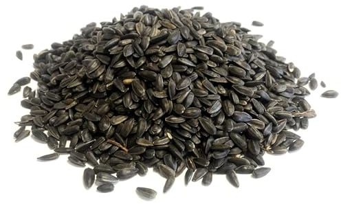 Maltbys' Stores 5 Litre (approx. 2.5kg) Black Sunflower Seed | Whole Sunflower Seeds for Wild and Pet Bird Feeding