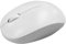 Bestyks Wireless Mouse, 2.4GHz Silent Bluetooth Computer Mouse, Ergonomic Design, Cordless, USB, Portable, Lightweight, for Laptop, PC and Tablet, Multiple Colours - Black (White)