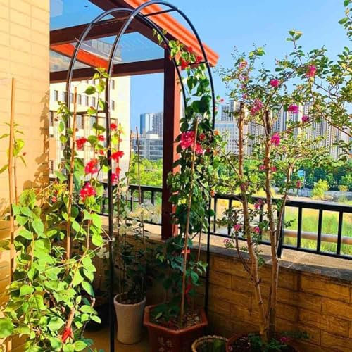Arche de jardin blanche avec cadre en acier résistant aux intempéries pour plantes grimpantes, treillage autoportant, pergola, 1,8 m de large, arche de jardin pour support et décoration de plantes
