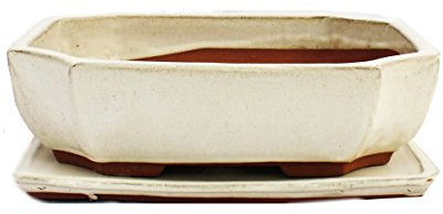 Bonsai Bol avec sous assiette Taille 5 – Beige clair – Carré – Modèle G117 – L 31 cm – B 24 cm – H 9 cm