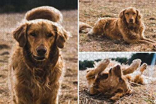 Lehaha Fotopuzzle selbst gestalten mit eigenem Bild Personalisiertes Holzpuzzle 120/300/500/1000 Teile Individuelles Geschenk für Erwachsene Familien & Paare Jahrestag & Geburtstag