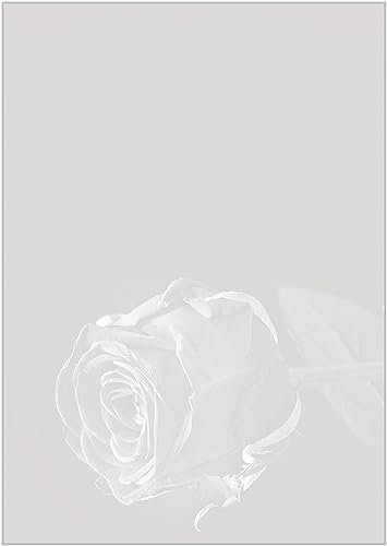 Briefpapier Trauer DIN A4 - Trauerbrief und Kondolenz-Papier 20 Blatt - Motiv Nr. 191 | 80g/m²
