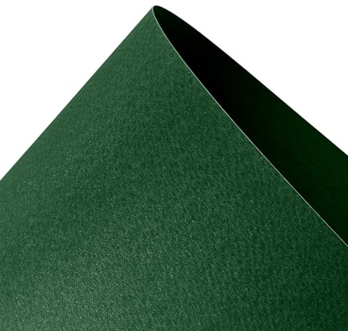 Netuno 10x Bastelkarton Tannengrün DIN A3 29,7x42 cm einseitig strukturiert | 220g Prisma Pino · dicker Künstlerkarton mit Struktur für Menükarten, Scrapbooking, Kartengestaltung & Dekoration