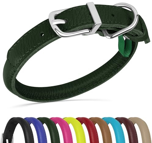 OOPSDOGGY Hundehalsband aus gerolltem Leder, weich, für kleine, mittelgroße und große Hunde, Welpen (Grün, XXS, 17,8 - 22,9 cm)