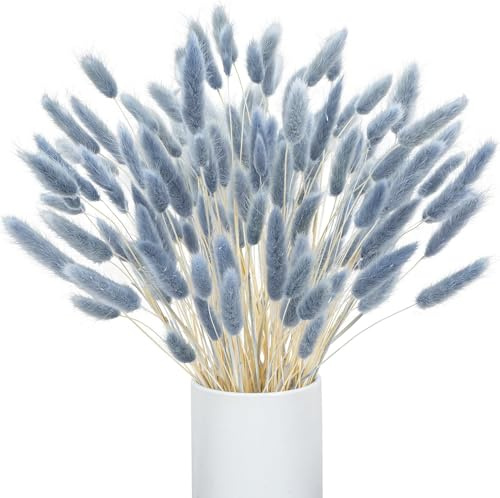 Barlone 120 Stück Pampasgras Klein, Hasenschwanzgras Getrocknet Pampasgras Deko, Pampas Gras Trockenblumen Graublau, Trockenblumen Klein Pampas Gras für Deko Wohnzimmer Hochzeit Tischdeko